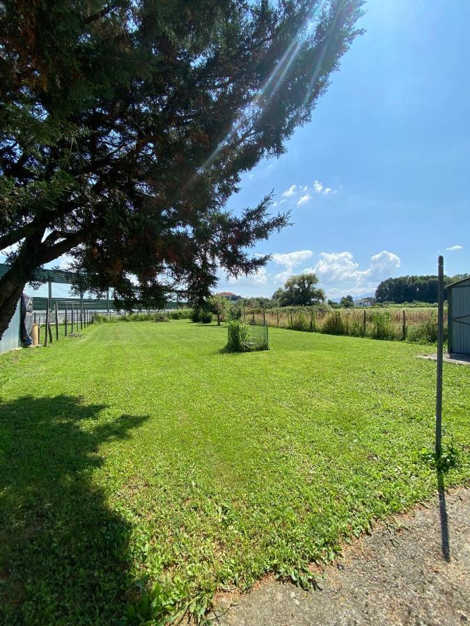 Holiday home Casa Simi Chiesina Uzzanese